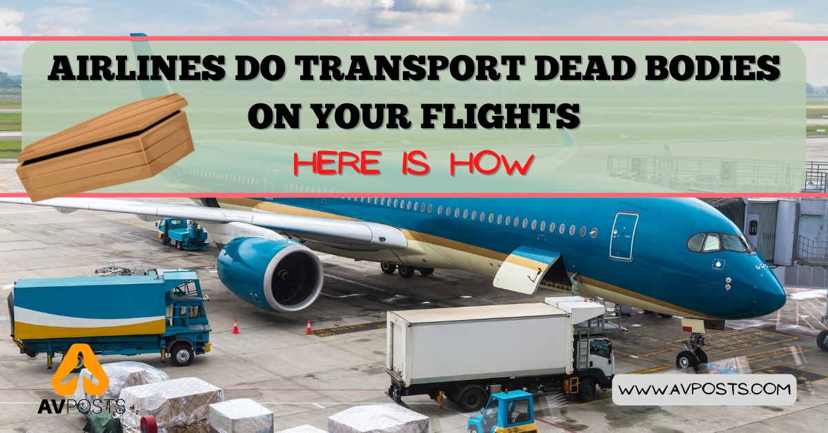 How do Airlines transport dead bodies on your flight